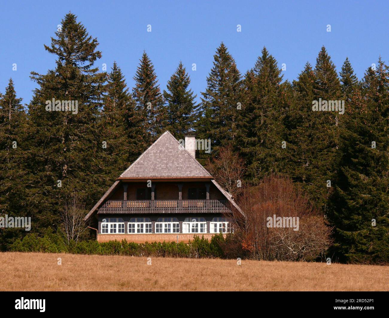 Casa solitaria ai margini della foresta sul Feldberg, autunno, Foresta Nera meridionale. Male. - Wuertt. FRG Foto Stock