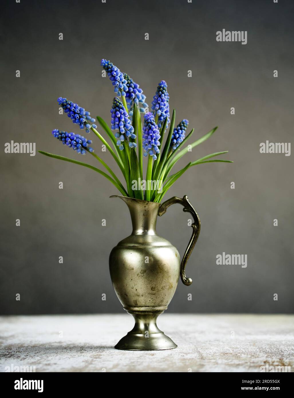 Natura morta con i giacinti dove in Old Metal Vase Foto Stock