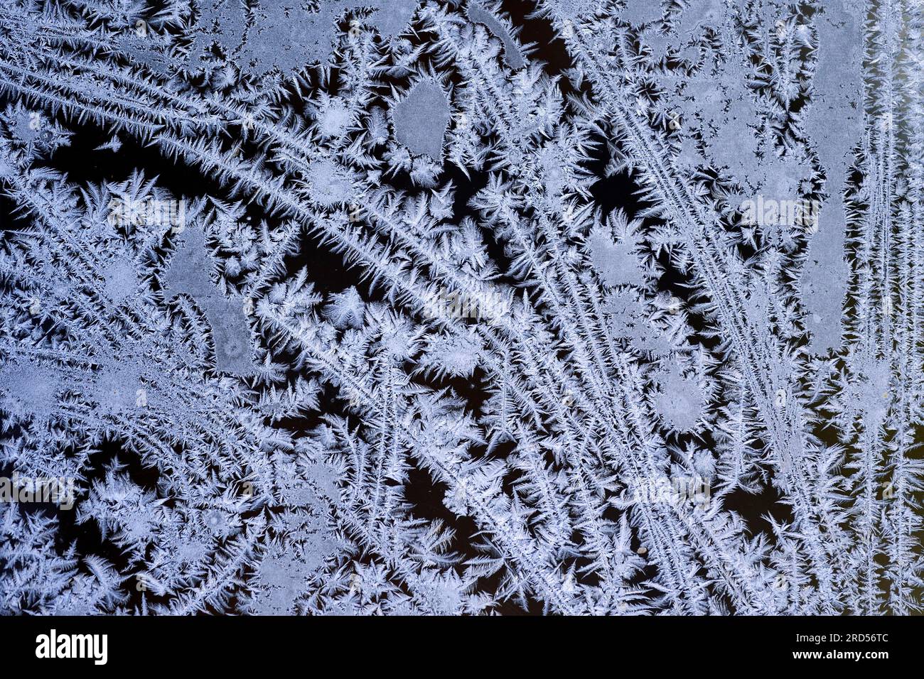 Fiori di ghiaccio sulla finestra Foto Stock