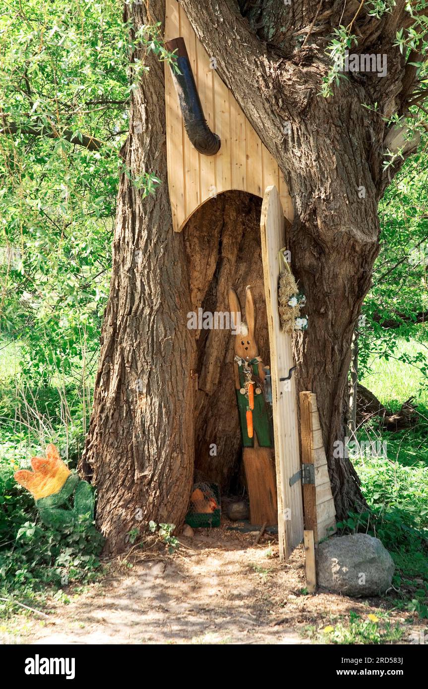 Willow (Salix) con porta in legno e camino, parco naturale Lauenburgische Seen, Schleswig-Holstein, Germania Foto Stock