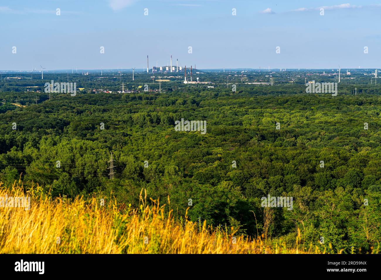 Vista dalla calotta di Haniel sul verde paesaggio della Ruhr a nord-est, sul Köllnischer Wald sulla centrale elettrica a carbone UNIPER Scholven Foto Stock