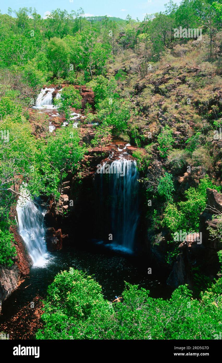 Florence Falls, Litchfield National Park, Northern Territory, Australia, Florence Waterfalls Foto Stock