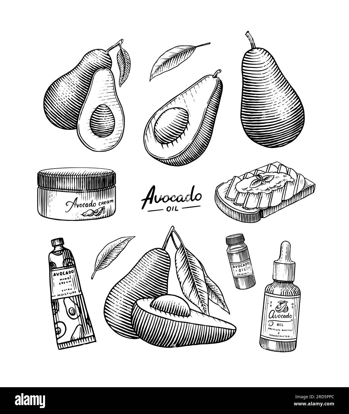 Avocado tropicale. Set di piante da frutto sempreverdi. Cosmetici per la cura della pelle. Olio organico nella bottiglia. Vettoriale isolato disegnato a mano. Modello vintage per Illustrazione Vettoriale