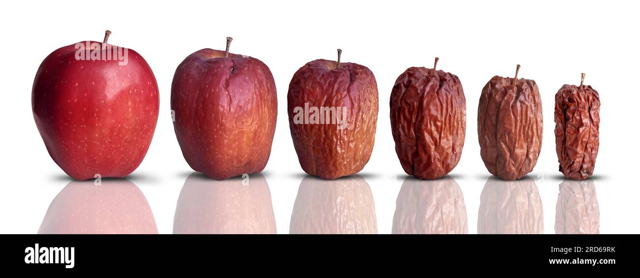 Processo di invecchiamento come nuova mela rossa matura che si decompone e diventa vecchia e rugosa. Foto Stock
