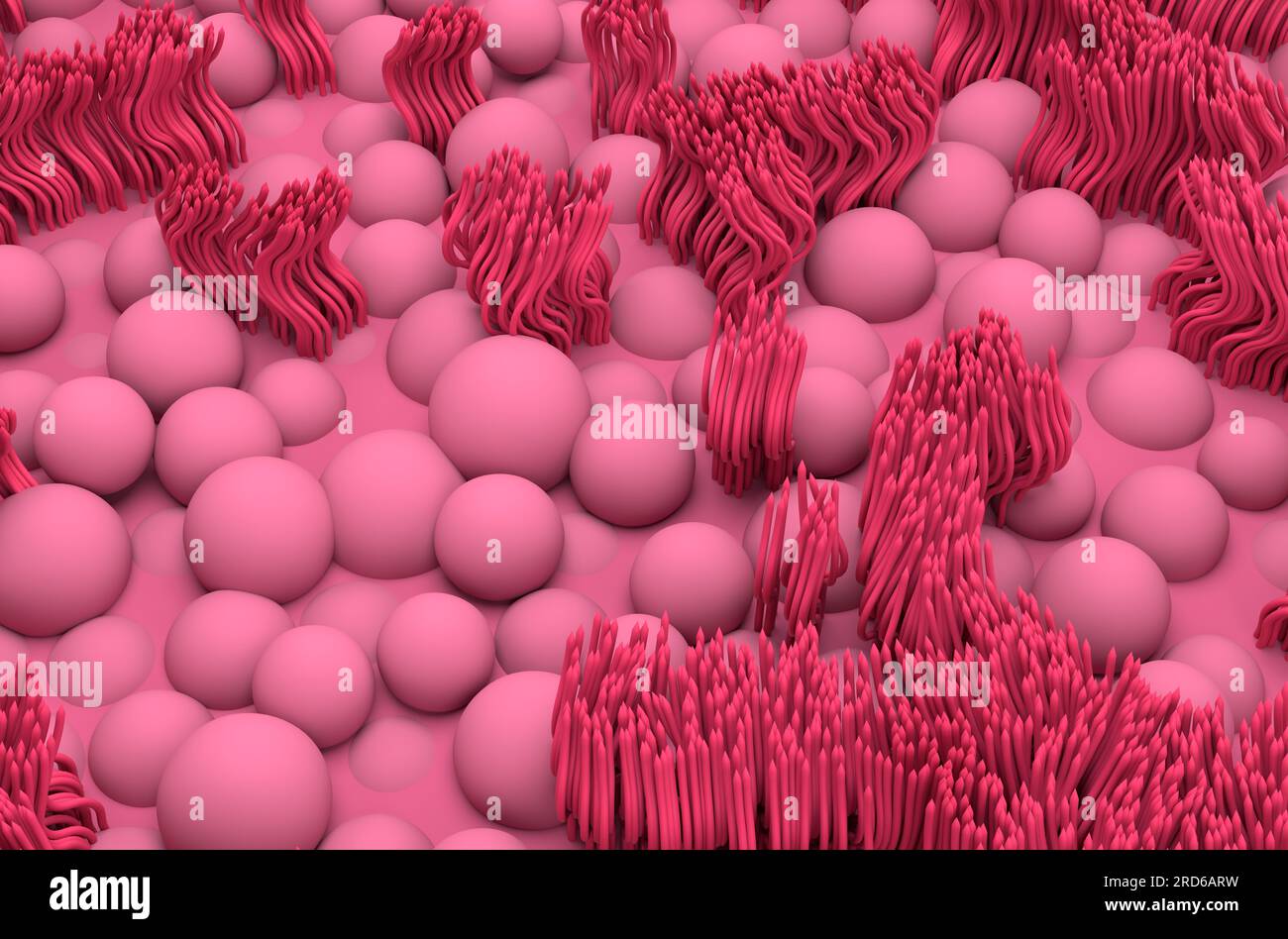 Linee della mucosa nasale (epietelio respiratorio) - visualizzazione isometrica illustrazione 3d. Foto Stock