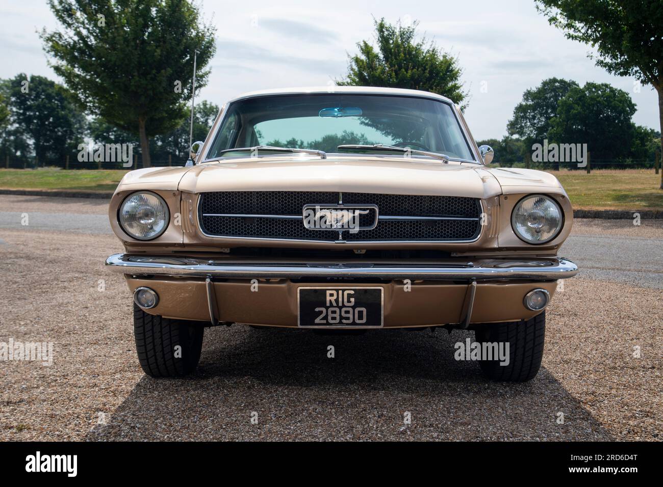 1965 Ford Mustang 289 auto americana classica di prima generazione Foto Stock