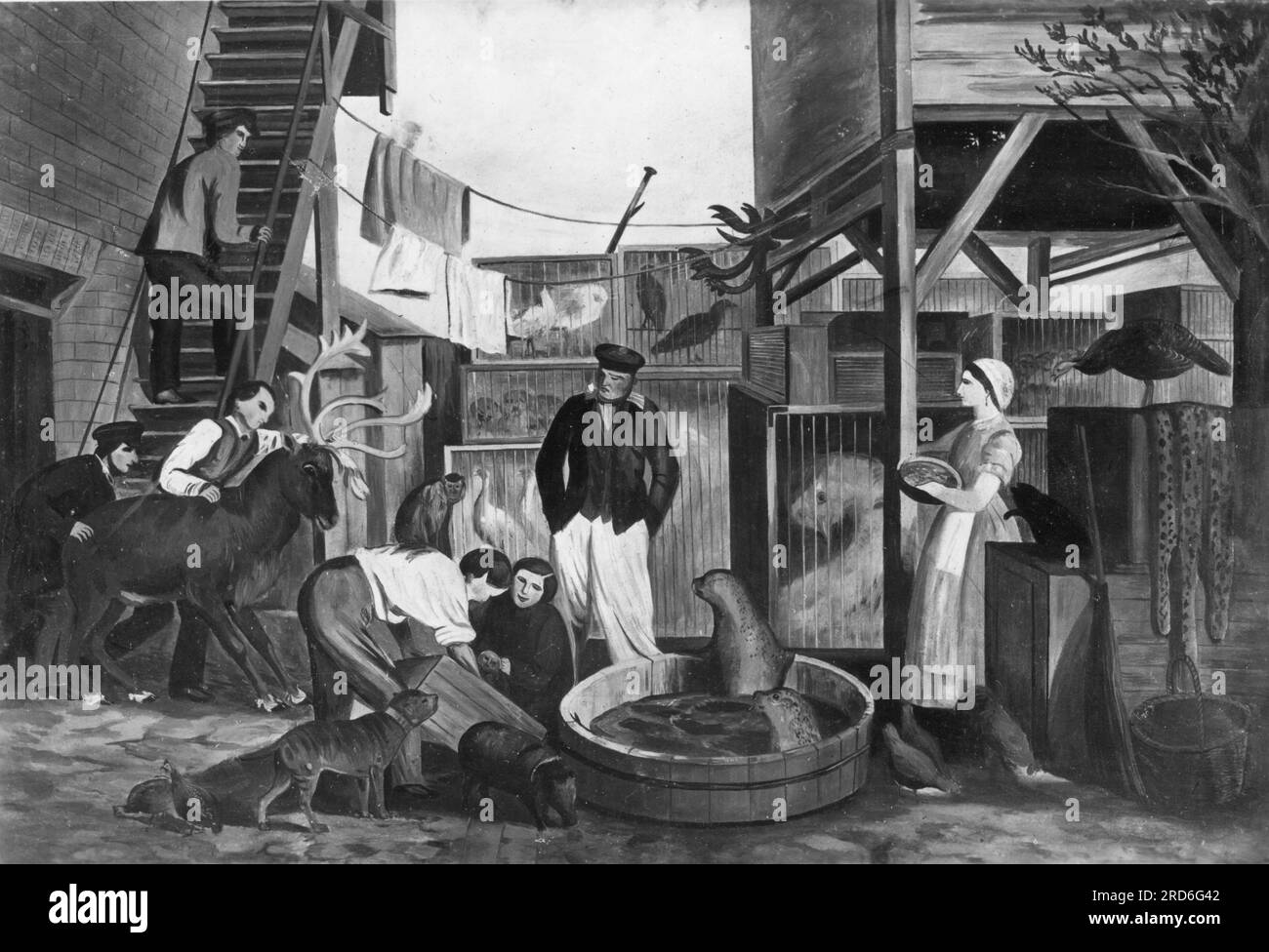 Mostre, zoologia/animali, "bagno delle foche di Gottfried Hagenbeck", ULTERIORI-DIRITTI-CLEARANCE-INFO-NOT-AVAILABLE Foto Stock