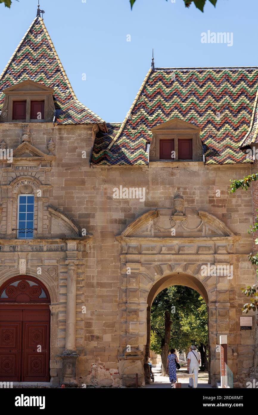 Tetto piastrellato colorato Saint Antoine-l Abbaye Grenoble Isere Auvergne-Rhone-Alpes Francia Foto Stock