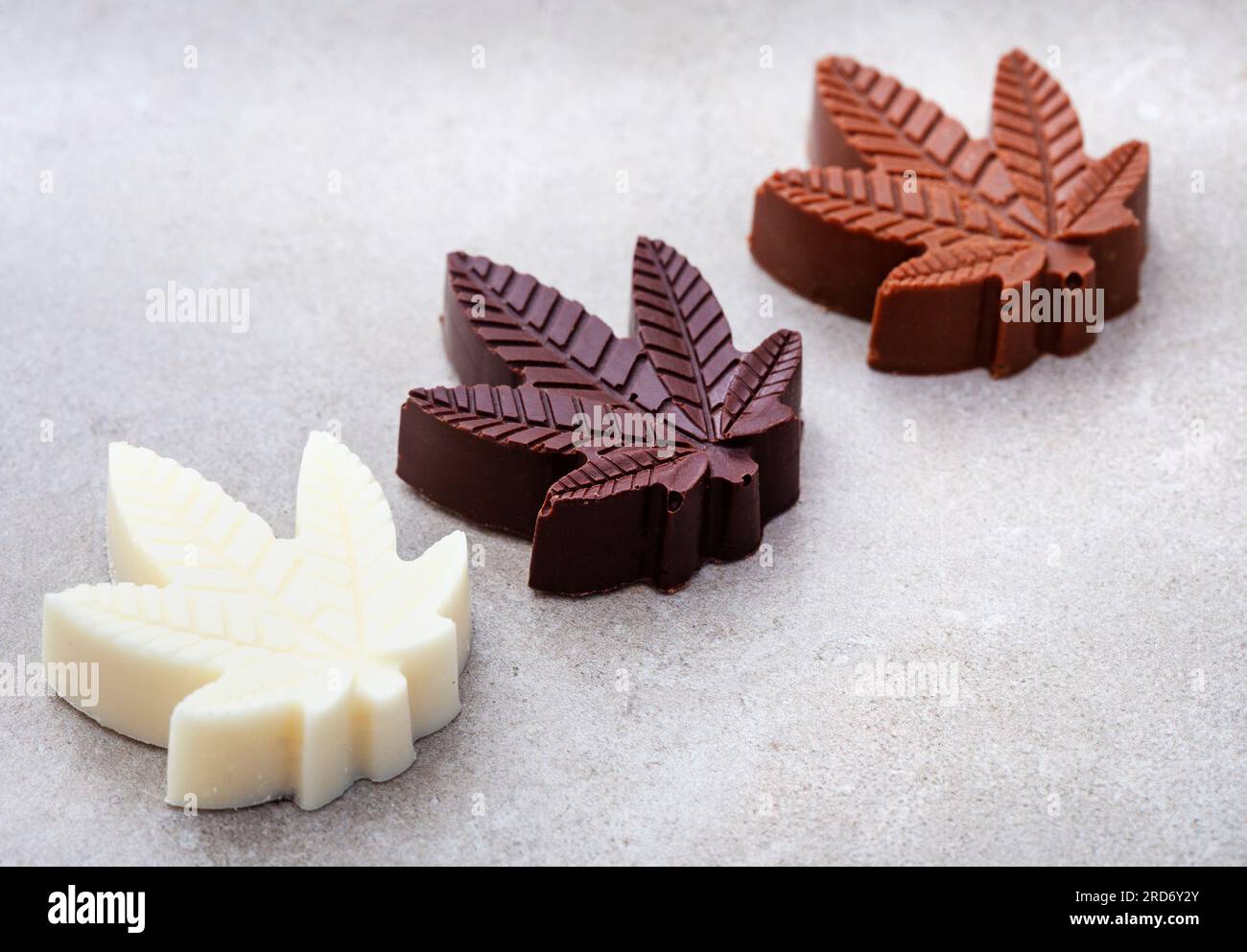 Cioccolatini al CBD. Deliziosi piatti d'umore, dessert e prelibatezze con un tocco in più. Cioccolato fondente, al latte e bianco su sfondo grigio Foto Stock