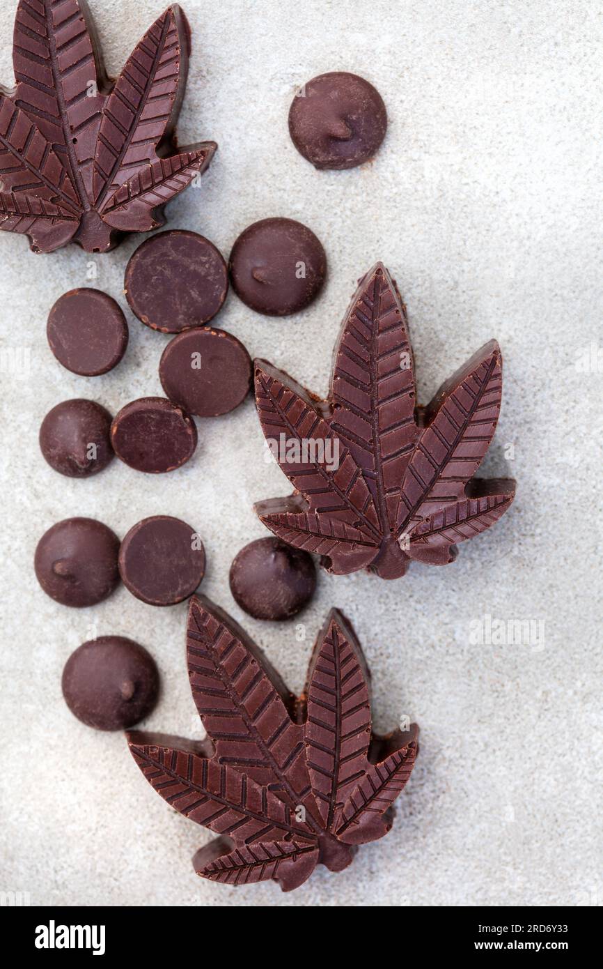 Cioccolatini al CBD. Deliziosi piatti d'umore, dessert e prelibatezze con un tocco in più. Cioccolato fondente su sfondo grigio Foto Stock