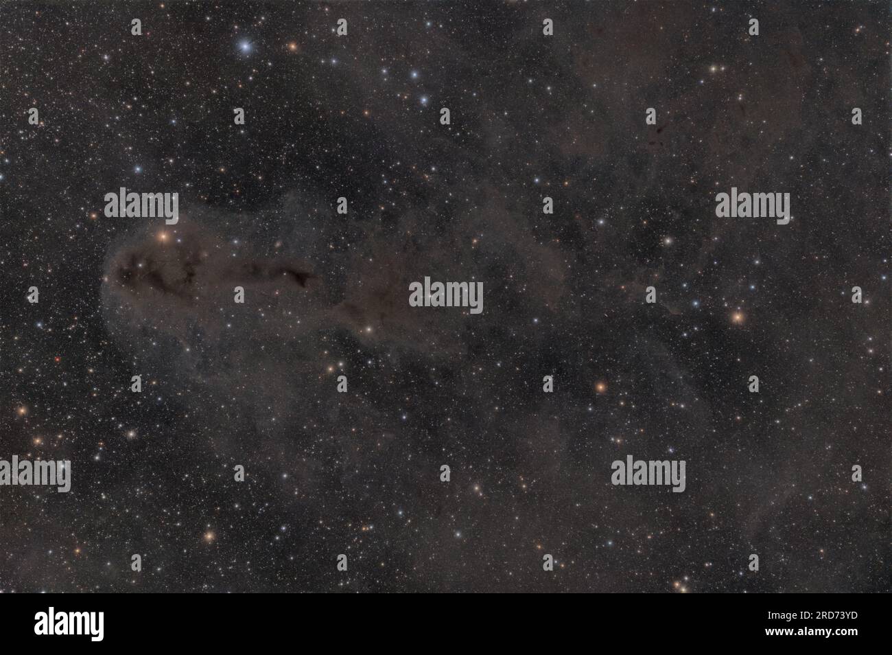 LDN1251 una nebulosa scura nella costellazione di Cefeo Foto Stock