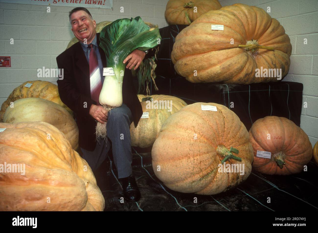 Gigantesco concorso di verdure nel municipio del Regno Unito. Gardner con il suo porro vincente, siede tra le zucche giganti. Broughton vicino a Winchester, Hampshire, Inghilterra ottobre 1997 1990s HOMER SYKES Foto Stock