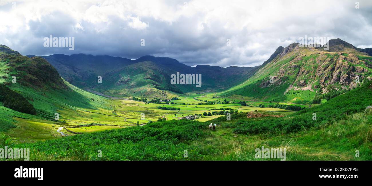 Langdale Fell panorama, Lake District Foto Stock