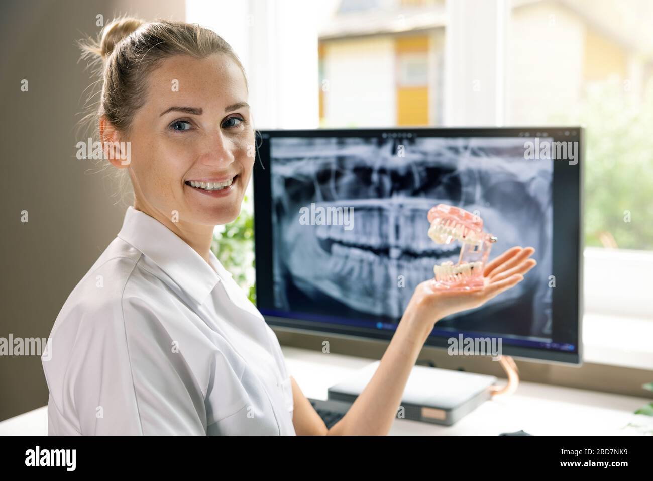 dentista sorridente con tipodonte dentale, modello di denti in mano negli studi clinici Foto Stock