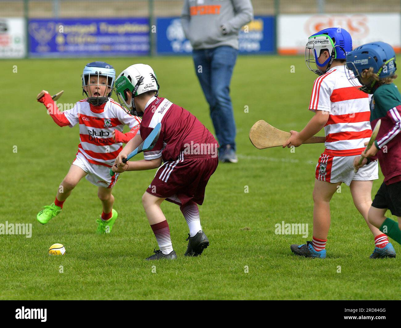 I bambini delle scuole elementari giocano a sfrecciare all'Owenbeg Centre of Excellence, County Derry. Foto: George Sweeney/ Alamy Stock Photo Foto Stock