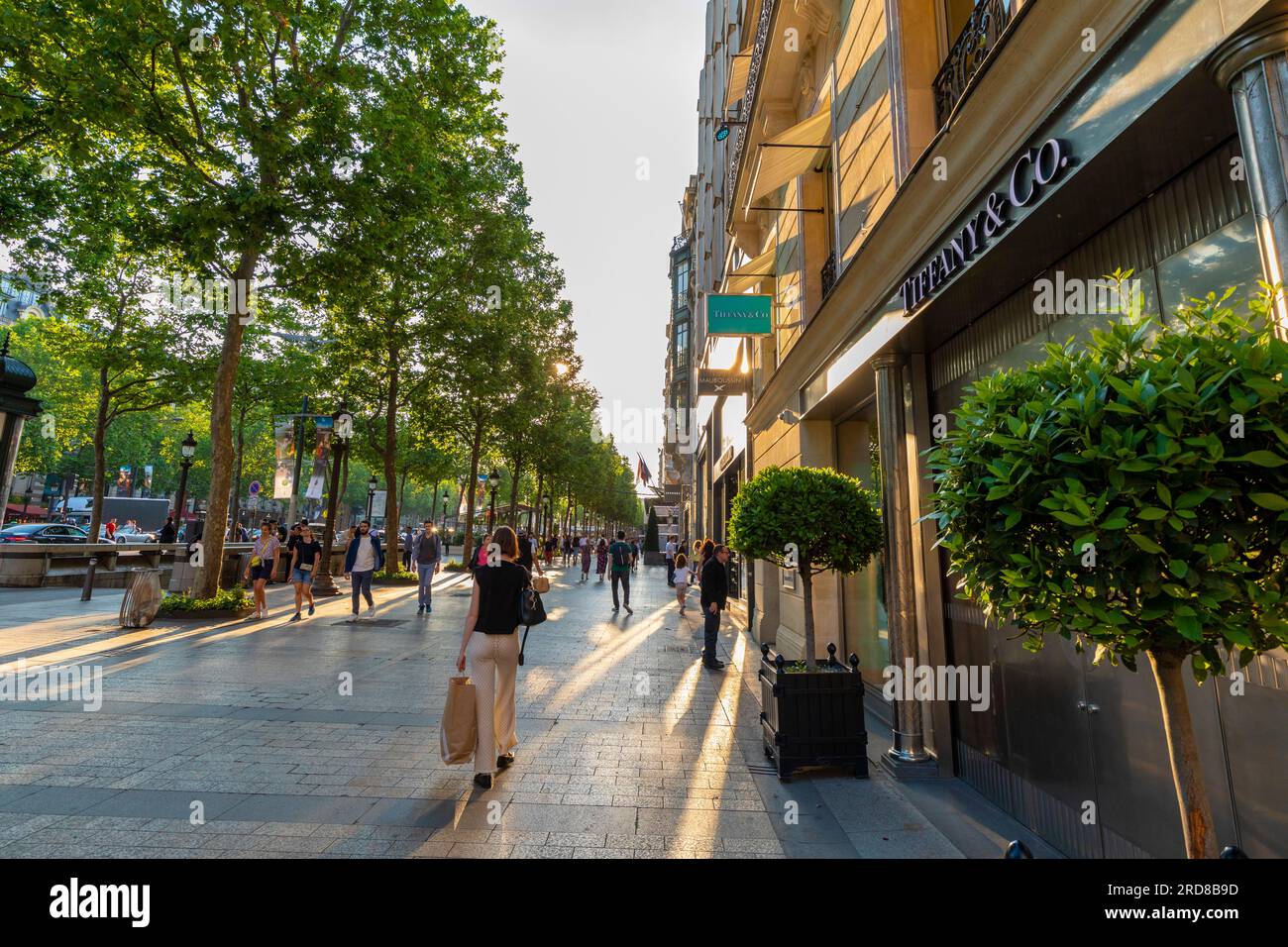 Avenue des Champs-Elysees, Parigi, Francia, Europa Foto Stock