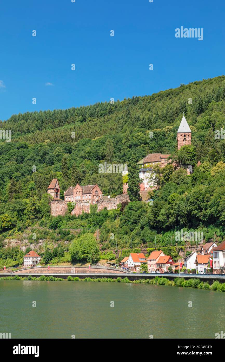 Castello di Zwingenberg, Valle della Neckartal, Odenwald, Burgenstrasse, Baden-Wurttemberg, Germania, Europa Foto Stock