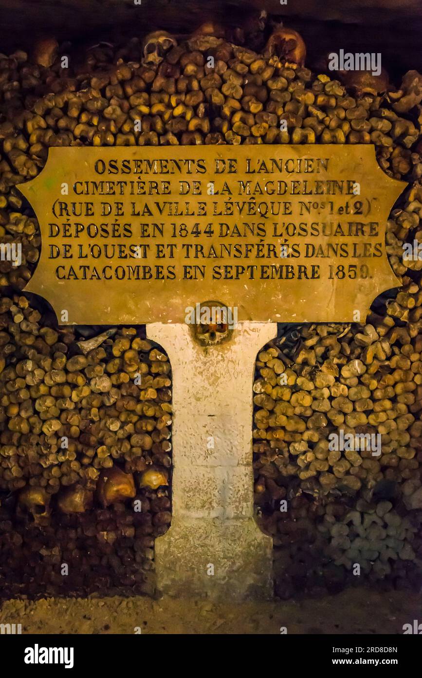 Cranio umano con un buco di proiettile al centro della fronte, catacombe di Parigi, ossari sotterranei che ospitano i resti di più di sei millioni Foto Stock