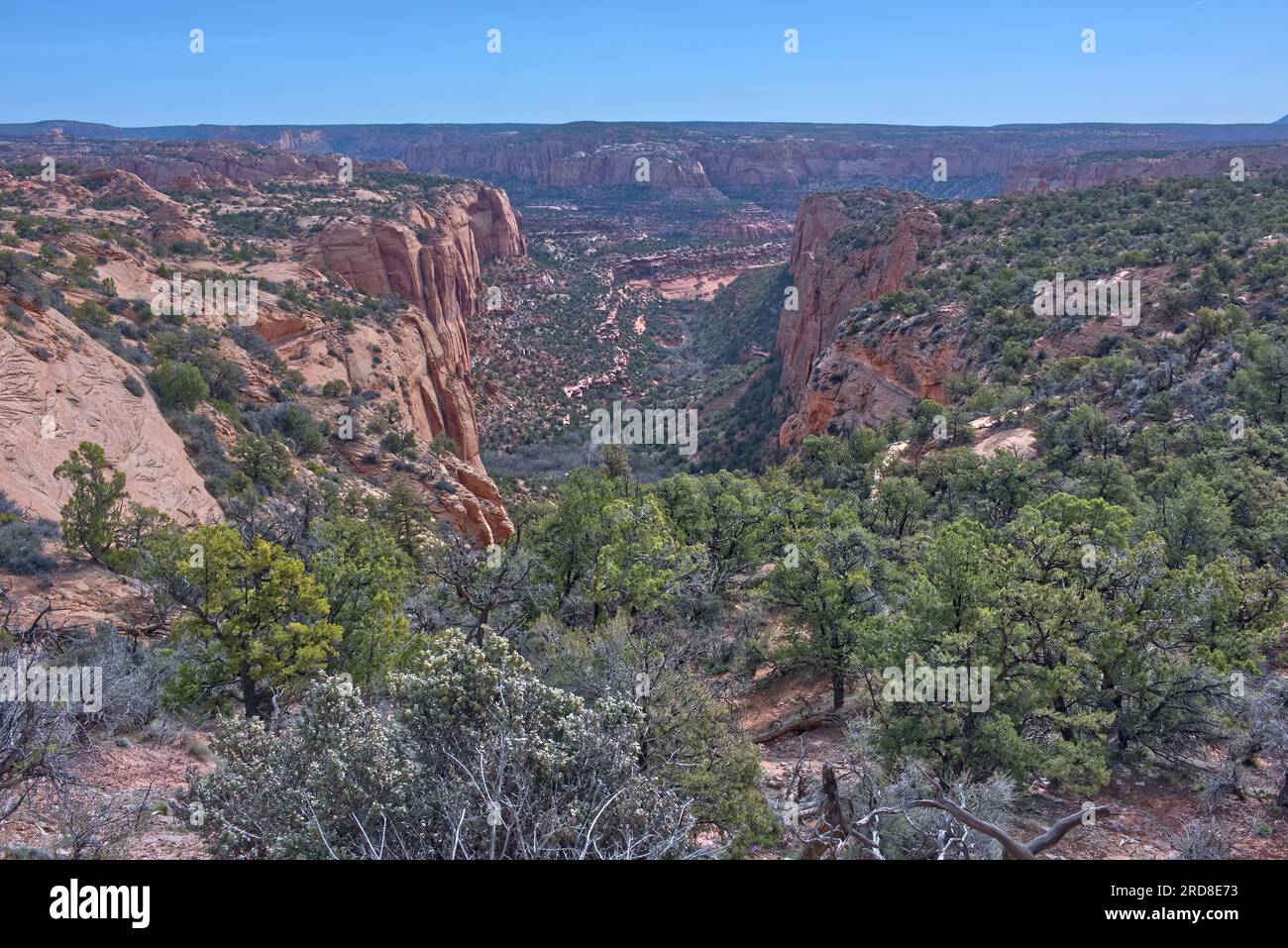 Betatakin Canyon, Navajo National Monument, all'interno della riserva indiana Navajo, a nord-ovest della città di Kayenta, Arizona, Stati Uniti Foto Stock