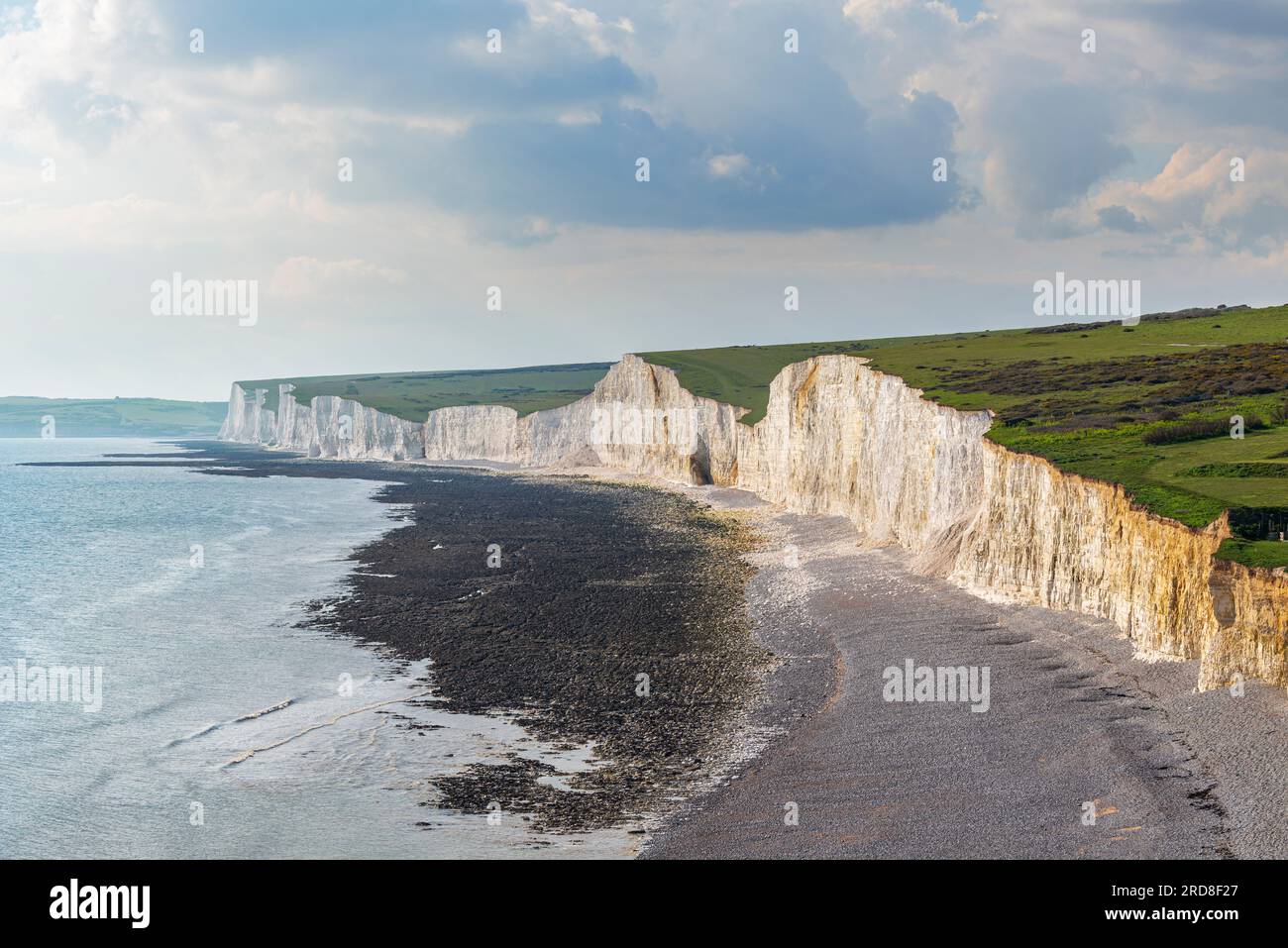 Birling Gap Beach, Seven Sisters Chalk Cliffs, South Downs National Park, East Sussex, Inghilterra, Regno Unito, Europa Foto Stock