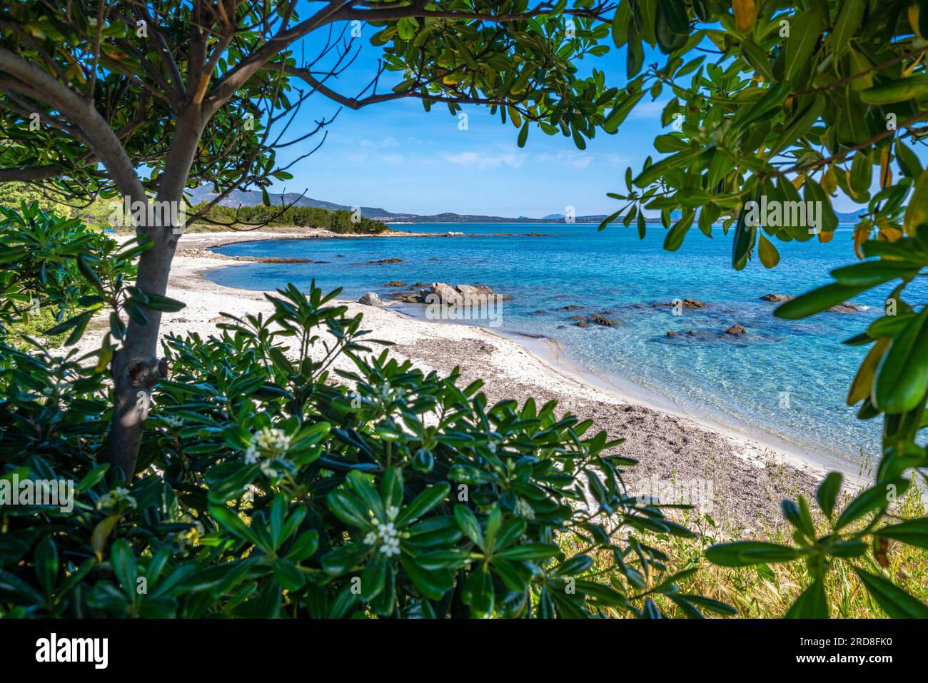 Vista spiaggia Cala d'Ambra, San Teodoro, Sardegna, Italia, Mediterraneo, Europa Foto Stock