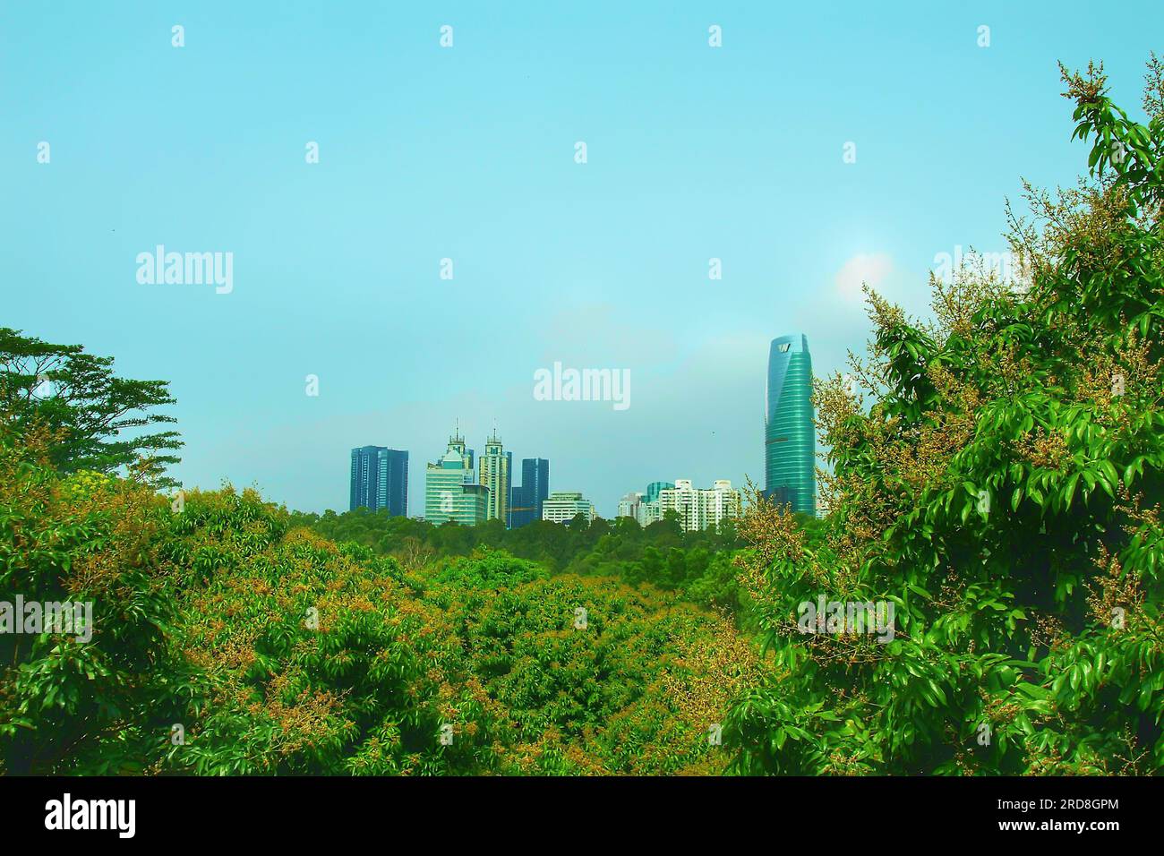 Ammira la bellezza di un accattivante grattacielo cinese, con la sua silhouette elegante che si erge al di sotto di un vivace cielo blu, crogiolandosi nel glorioso sole Foto Stock