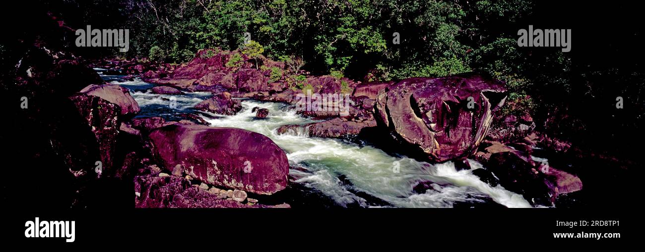 Australia. Queensland. Tully River. Foto Stock