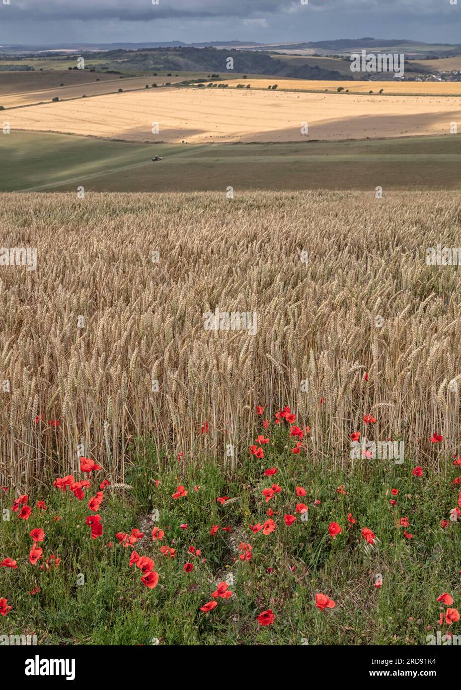 Vista su South Downs da Castle Hill Foto Stock