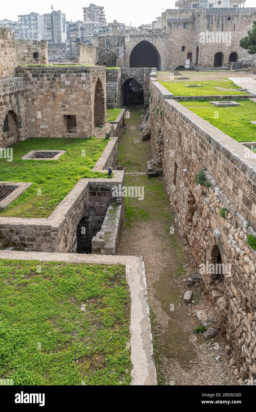 Cittadella di Tripoli (Cittadella di Raymond de Saint-Gilles), Tripoli, Libano Foto Stock