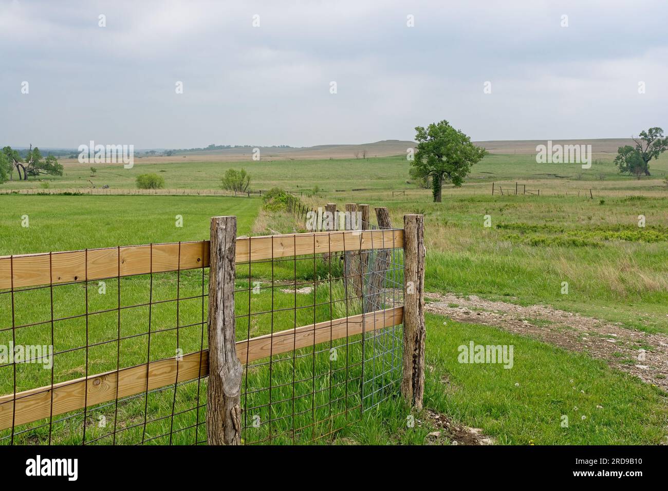 Le rustiche linee di recinzione metallica si stagliano su lontane pendici di pietra focaia della riserva nazionale di Tallgrass Prairie Foto Stock