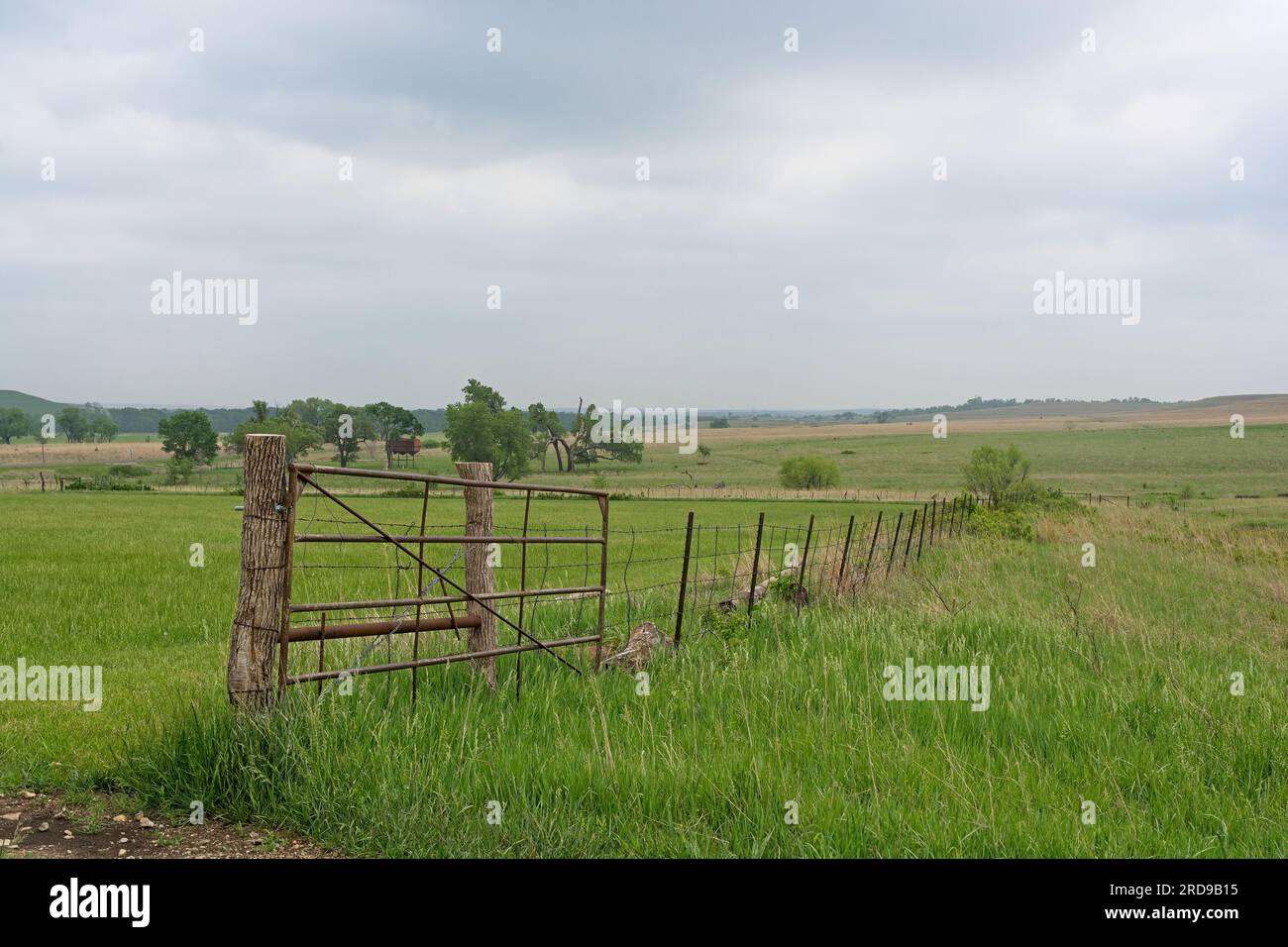 Le rustiche linee di recinzione metallica si stagliano su lontane pendici di pietra focaia della riserva nazionale di Tallgrass Prairie Foto Stock