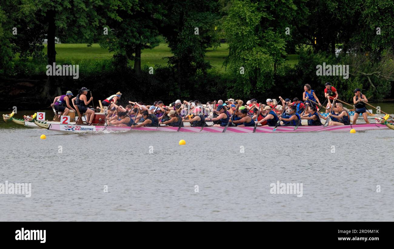 Dragon Boat Racing Cooper River Foto Stock