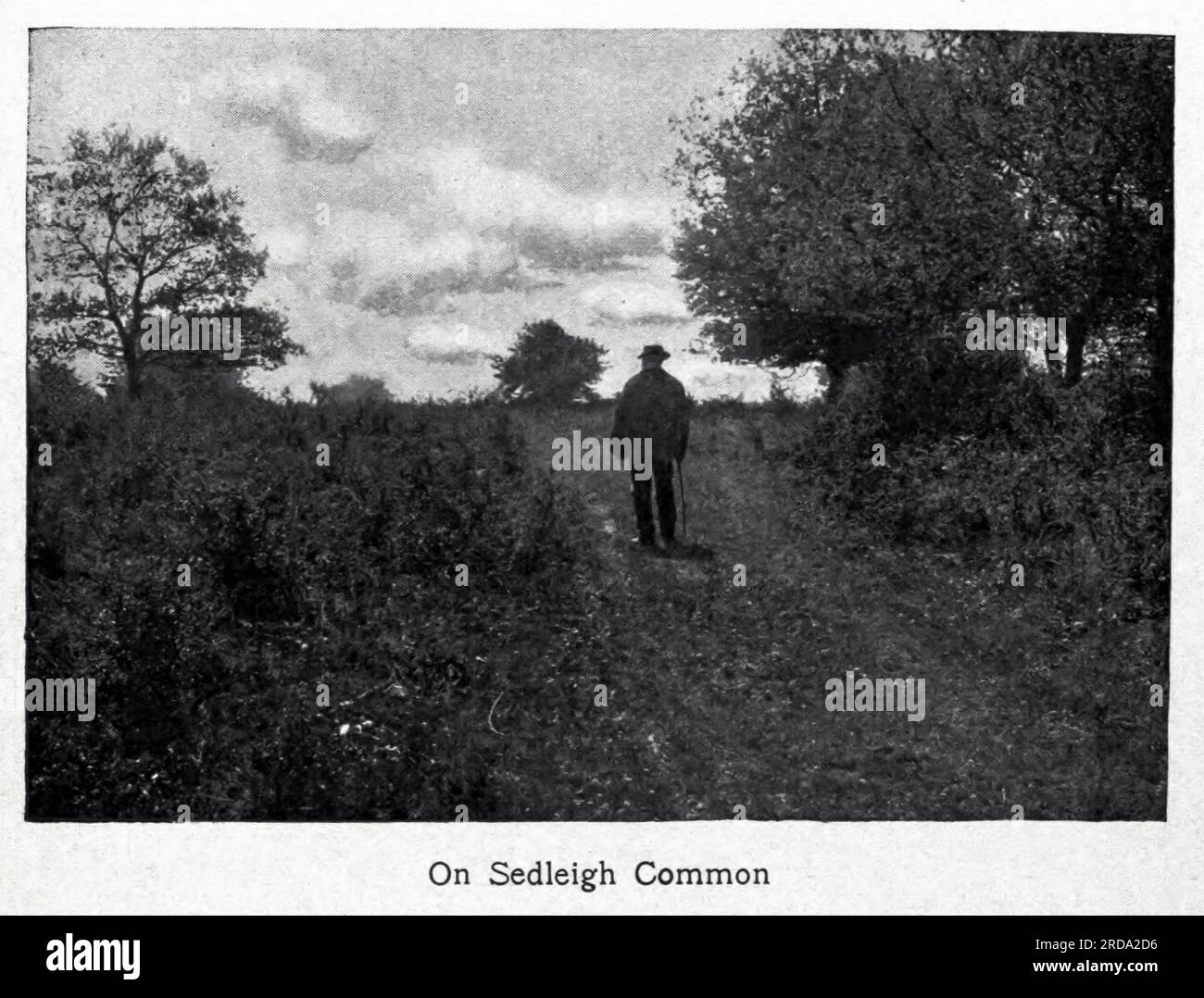 On Sedleigh Common fotografia in bianco e nero dal libro ' Among English Hedgerows' di Clifton Johnson, 1865-1940 data di pubblicazione 1899 ristampata nel 1914 Publisher New York : The Macmillan co.; London, Macmillan and co., ltd. Foto Stock On Sedleigh Common fotografia in bianco e nero dal libro ' Among English Hedgerows' di Clifton Johnson, 1865-1940 data di pubblicazione 1899 ristampata nel 1914 Publisher New York : The Macmillan co.; London, Macmillan and co., ltd. Foto Stock