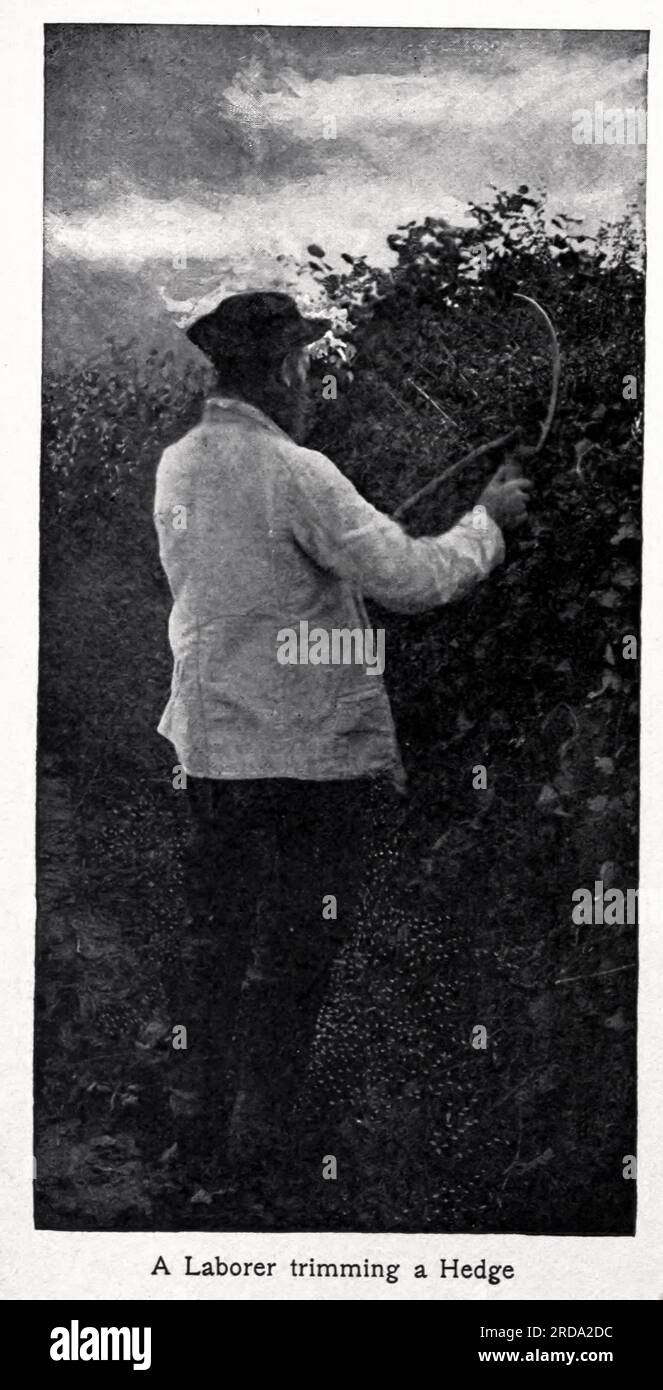 A Laborer trimming a hedge black and white Photograph from the book ' Among English Hedgerows' by Clifton Johnson, 1865-1940 data di pubblicazione 1899 ristampato nel 1914 Publisher New York : The Macmillan co.; London, Macmillan and co., ltd. Foto Stock A Laborer trimming a hedge black and white Photograph from the book ' Among English Hedgerows' by Clifton Johnson, 1865-1940 data di pubblicazione 1899 ristampato nel 1914 Publisher New York : The Macmillan co.; London, Macmillan and co., ltd. Foto Stock