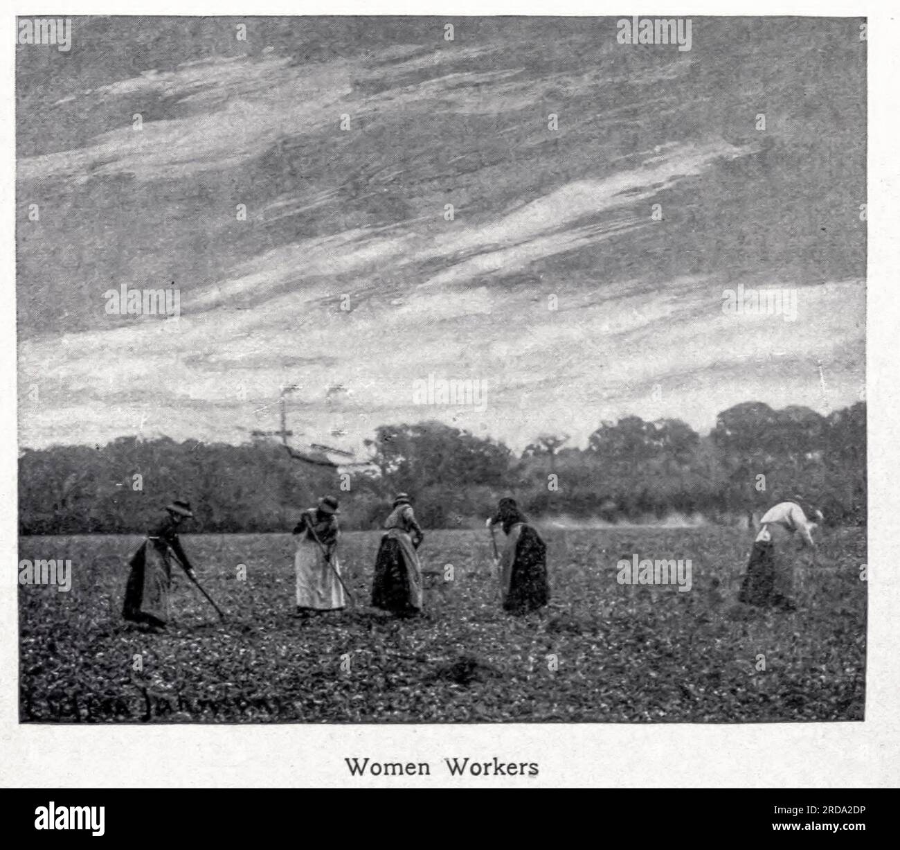 Donna operaia fotografia in bianco e nero dal libro ' Among English Hedgerows' di Clifton Johnson, 1865-1940 data di pubblicazione 1899 ristampato nel 1914 Publisher New York : The Macmillan co.; London, Macmillan and co., ltd. Foto Stock Donna operaia fotografia in bianco e nero dal libro ' Among English Hedgerows' di Clifton Johnson, 1865-1940 data di pubblicazione 1899 ristampato nel 1914 Publisher New York : The Macmillan co.; London, Macmillan and co., ltd. Foto Stock
