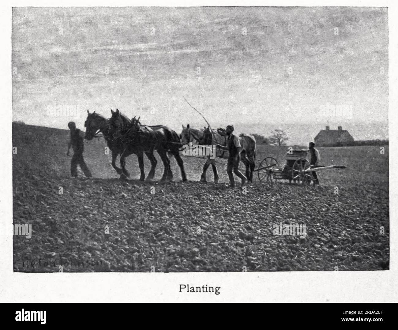 Piantando fotografia in bianco e nero dal libro ' Among English Hedgerows' di Clifton Johnson, 1865-1940 data di pubblicazione 1899 ristampata nel 1914 Publisher New York : The Macmillan co.; London, Macmillan and co., ltd. Foto Stock Piantando fotografia in bianco e nero dal libro ' Among English Hedgerows' di Clifton Johnson, 1865-1940 data di pubblicazione 1899 ristampata nel 1914 Publisher New York : The Macmillan co.; London, Macmillan and co., ltd. Foto Stock