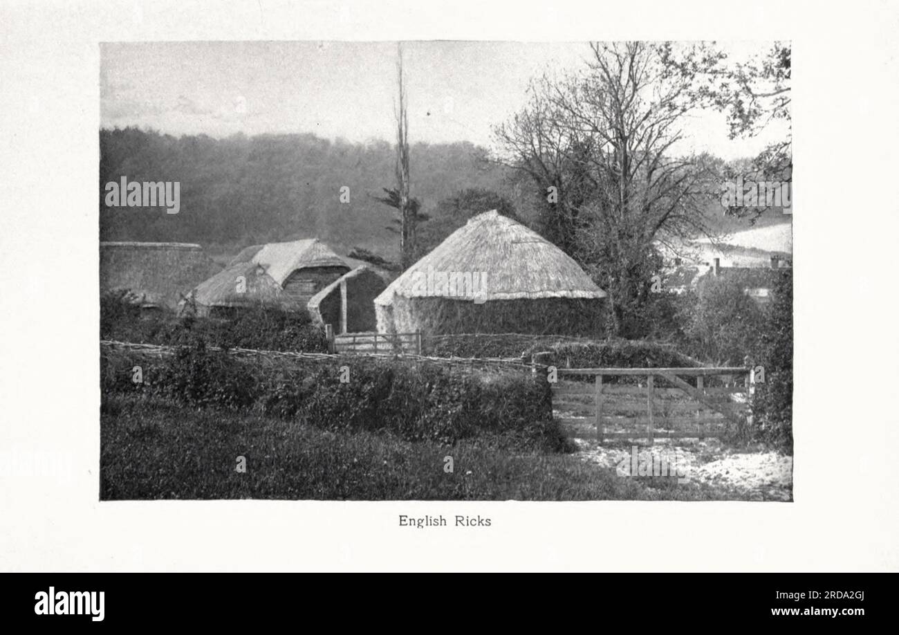 English Ricks fotografia in bianco e nero dal libro ' Among English Hedgerows' di Clifton Johnson, 1865-1940 data di pubblicazione 1899 ristampata nel 1914 Publisher New York : The Macmillan co.; London, Macmillan and co., ltd. Foto Stock English Ricks fotografia in bianco e nero dal libro ' Among English Hedgerows' di Clifton Johnson, 1865-1940 data di pubblicazione 1899 ristampata nel 1914 Publisher New York : The Macmillan co.; London, Macmillan and co., ltd. Foto Stock