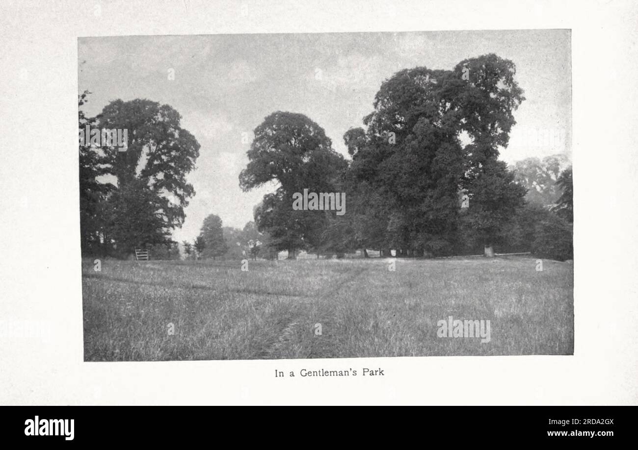 In a Gentleman's Park fotografia in bianco e nero dal libro ' Among English Hedgerows' di Clifton Johnson, 1865-1940 data di pubblicazione 1899 ristampata nel 1914 Publisher New York : The Macmillan co.; London, Macmillan and co., ltd. Foto Stock In a Gentleman's Park fotografia in bianco e nero dal libro ' Among English Hedgerows' di Clifton Johnson, 1865-1940 data di pubblicazione 1899 ristampata nel 1914 Publisher New York : The Macmillan co.; London, Macmillan and co., ltd. Foto Stock