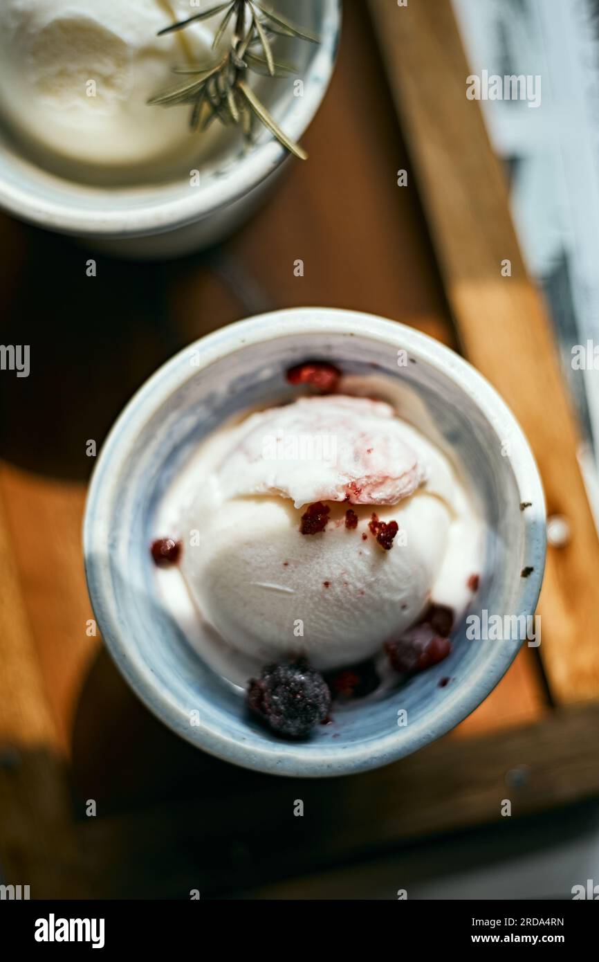 Delizioso yogurt gelato ai mirtilli fatto in casa, messa a fuoco selettiva Foto Stock