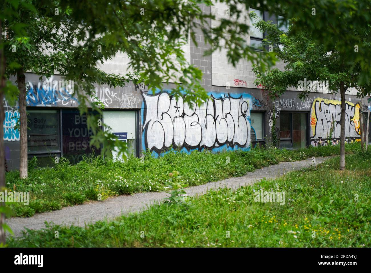 retro di un edificio dipinto con graffiti Foto Stock