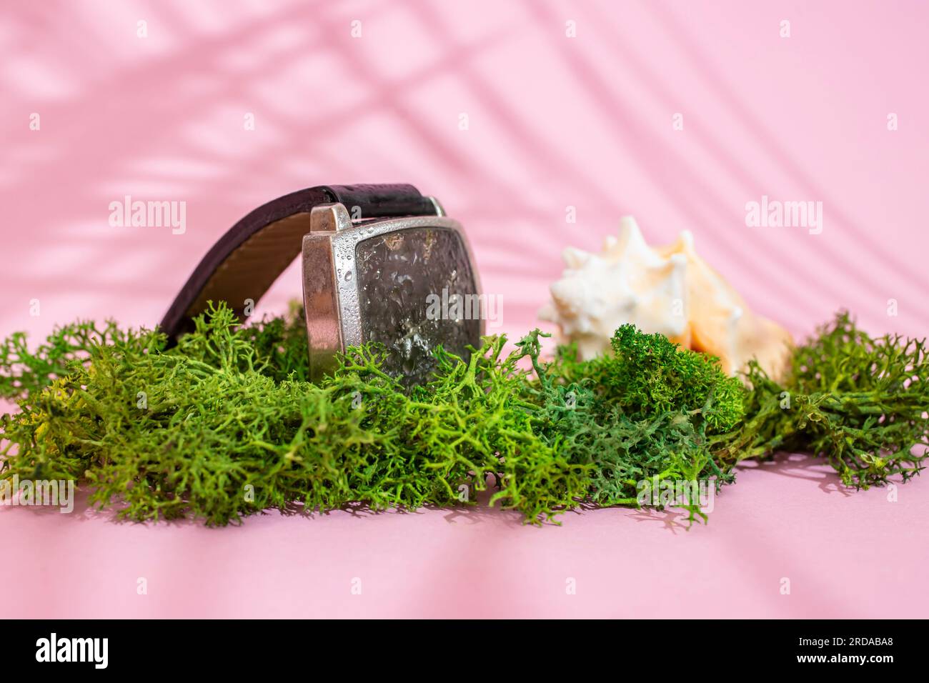 Orologio da polso generico con lichene verde e guscio marino, cosparso di acqua, concetto di resistenza, messa a fuoco morbida in primo piano Foto Stock