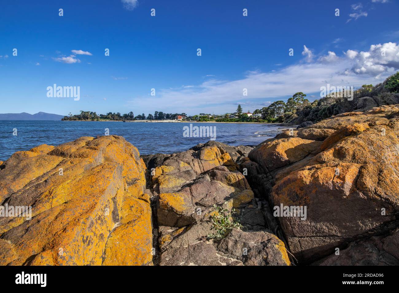 Massi ricoperti di licheni Swansea Tasmania Australia Foto Stock