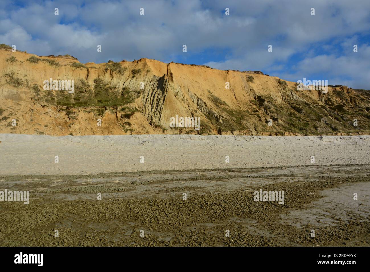 Rotes Kliff / Red Cliffs tra Wenningstedt e Kampen, Sylt, Isole Frisone, Mare del Nord, Germania Foto Stock