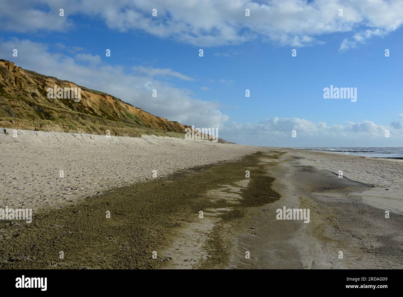 Rotes Kliff / Red Cliffs tra Wenningstedt e Kampen, Sylt, Isole Frisone, Mare del Nord, Germania Foto Stock