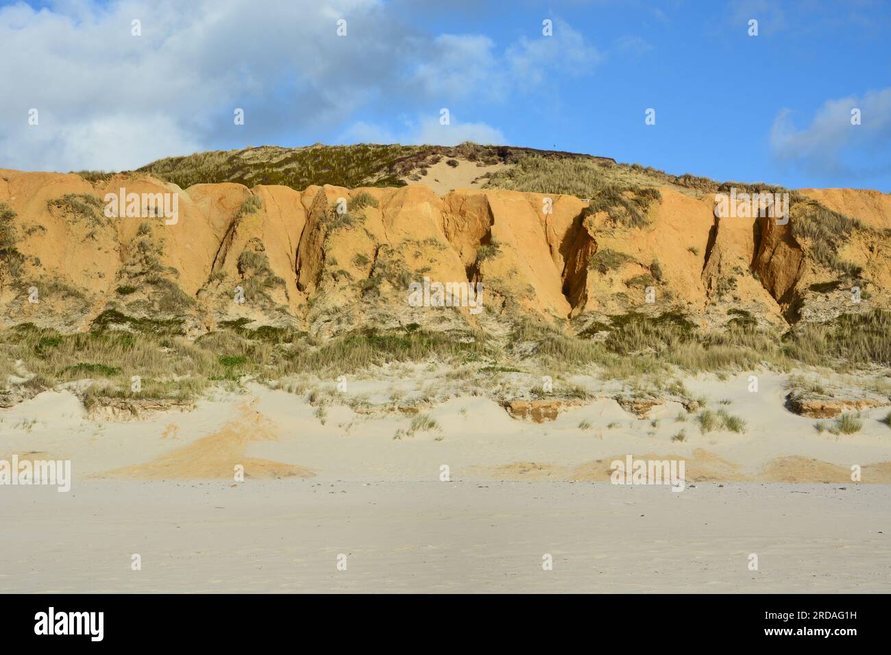 Rotes Kliff / Red Cliffs tra Wenningstedt e Kampen, Sylt, Isole Frisone, Mare del Nord, Germania Foto Stock