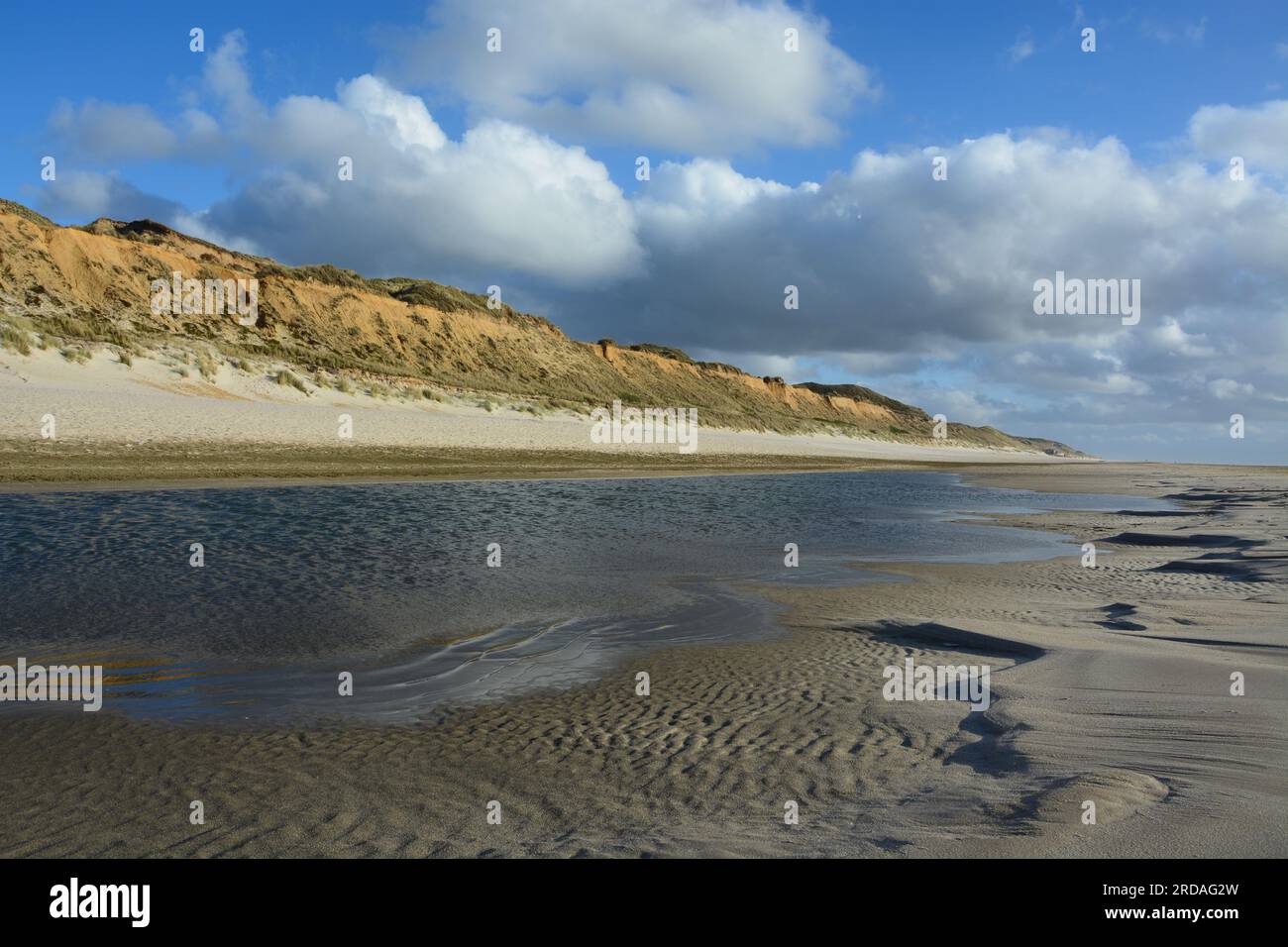 Le Red Cliffs / Rotes Kliff tra Wenningstedt e Kampen, Sylt, Isole Frisone, Mare del Nord, Germania Foto Stock