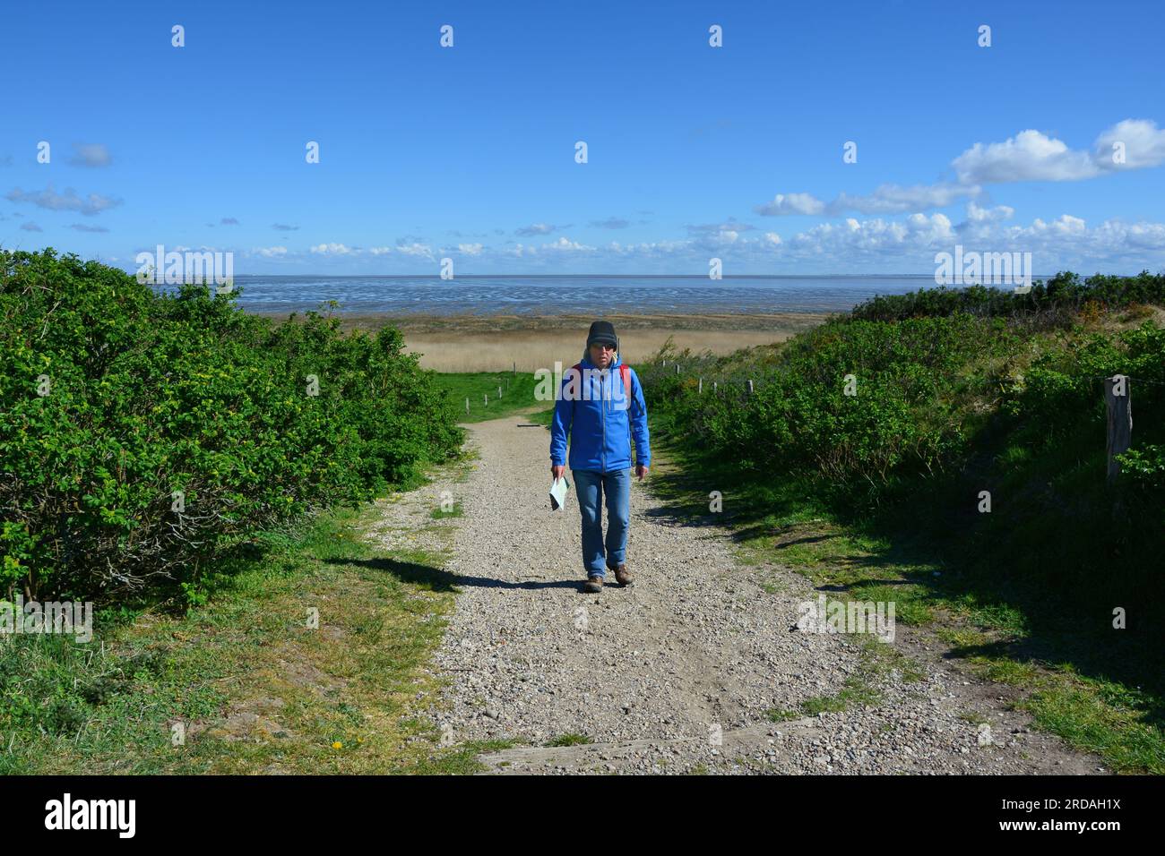 Camminando lungo il Mare di Wadden tra Keitum e Morsum, Sylt, Isole Frisoni, Germania Foto Stock