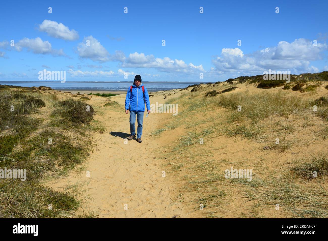 Camminando lungo il sentiero costiero sopra le colorate scogliere di Morsum, Sylt, il Mare di Wadden, le Isole Frisoni, la Germania Foto Stock
