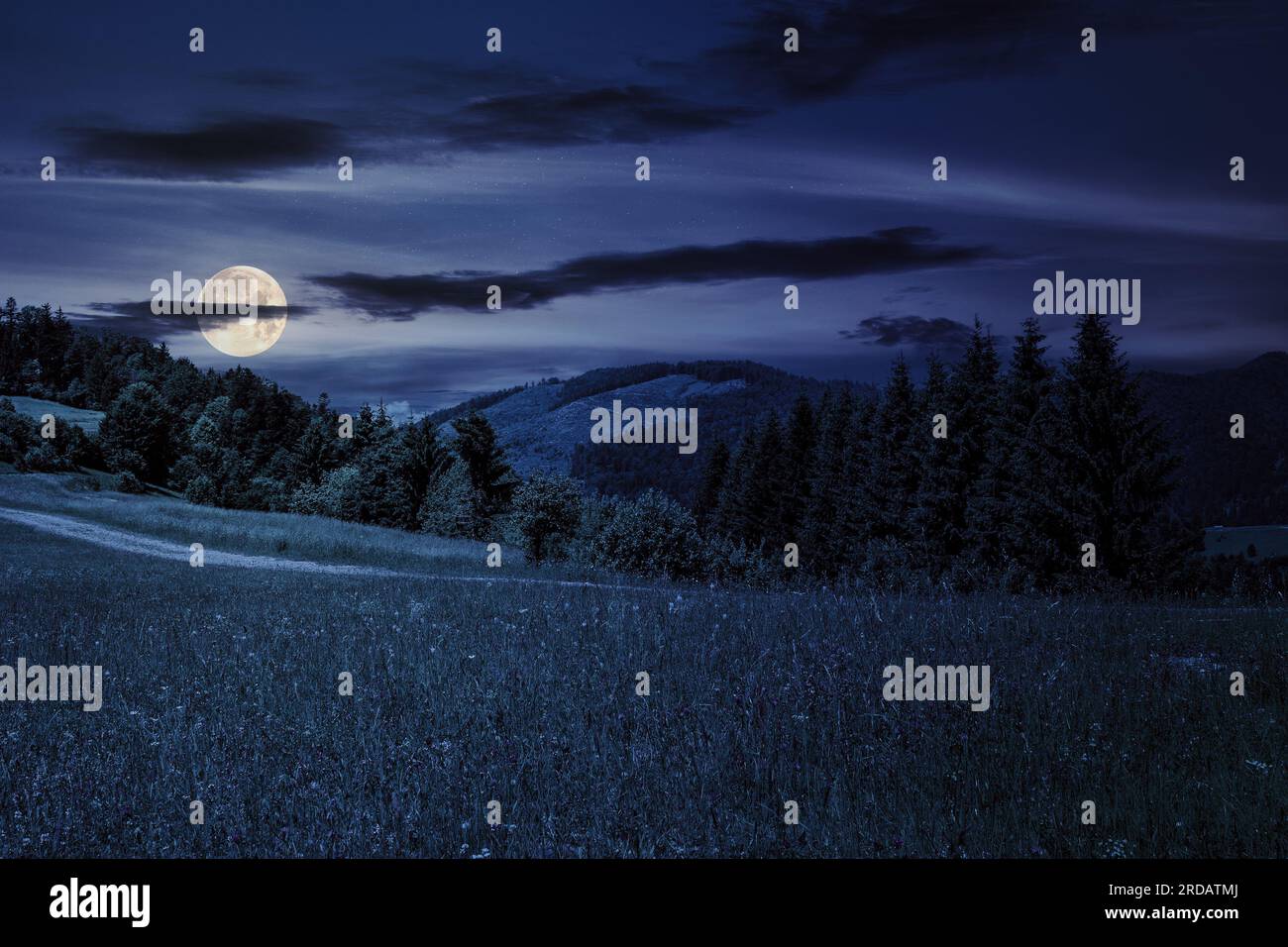 grande prato con pini sulla collina di fronte a una montagna di notte. splendido paesaggio di campagna in piena luna Foto Stock