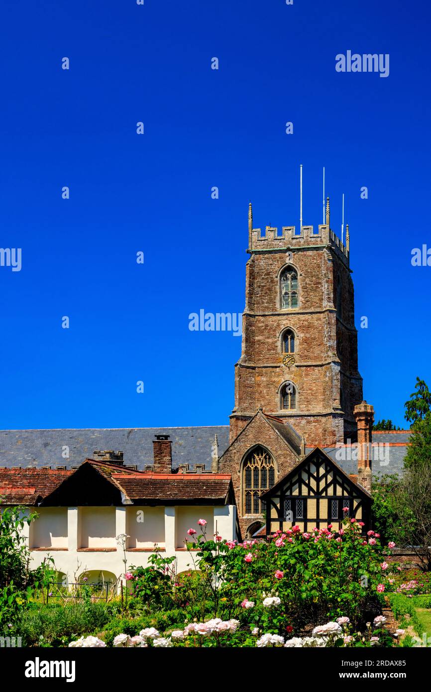 La chiesa parrocchiale di Dunster di St George vista dal Dream Garden a Dunster Castle, Somerset, Inghilterra, Regno Unito Foto Stock